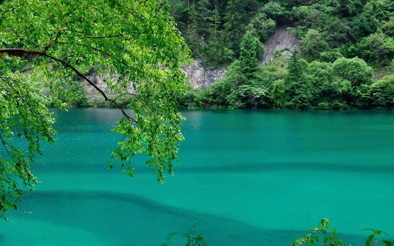 高效可靠性
